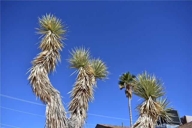 61611 Alta Loma Drive, Joshua Tree, CA 92252