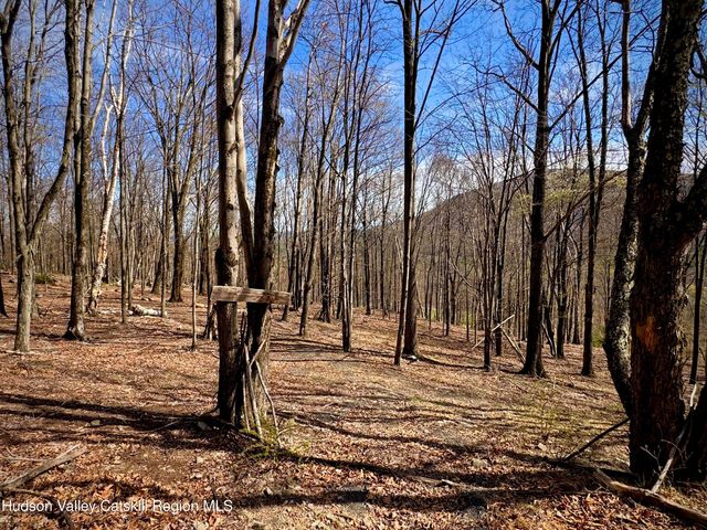 46 Hillside Drive, West Shokan, NY 12494