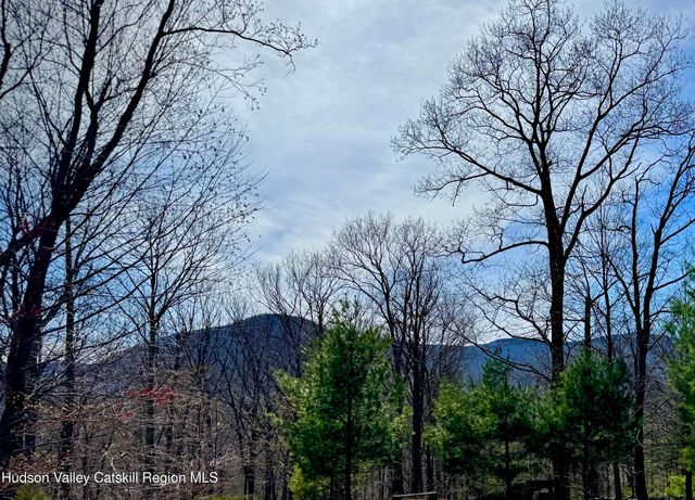 46 Hillside Drive, West Shokan, NY 12494