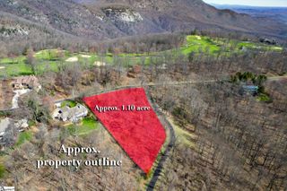 68 May Apple Way, Landrum, SC 29356