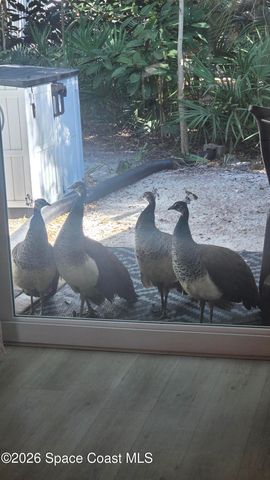 544 Beach Park Lane V231, Cape Canaveral, FL 32920