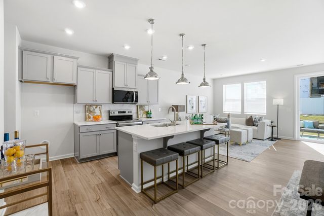 9306 Pagoda Oak Drive, Charlotte, NC 28269