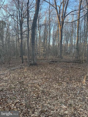 LOT 13 BILLINGSLEY RD, White Plains, MD 20695