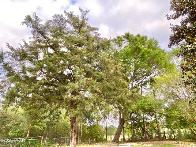 807 Maple Street, Chipley, FL 32428