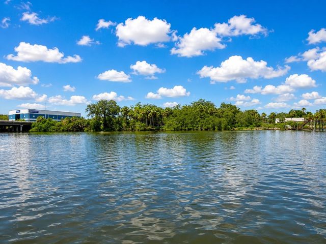 RIVERVIEW DRIVE, Riverview, FL 33578