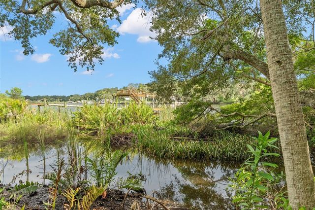 RIVERVIEW DRIVE, Riverview, FL 33578