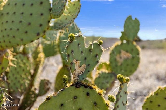 12220 S CABALLO Terrace, Mayer, AZ 86333