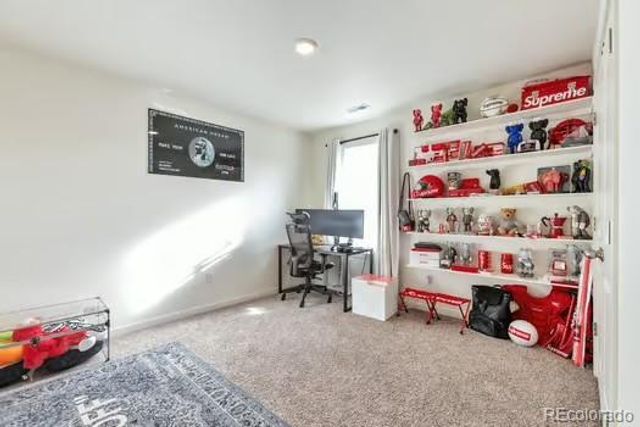 8562 E 133rd Drive, Thornton, CO 80602