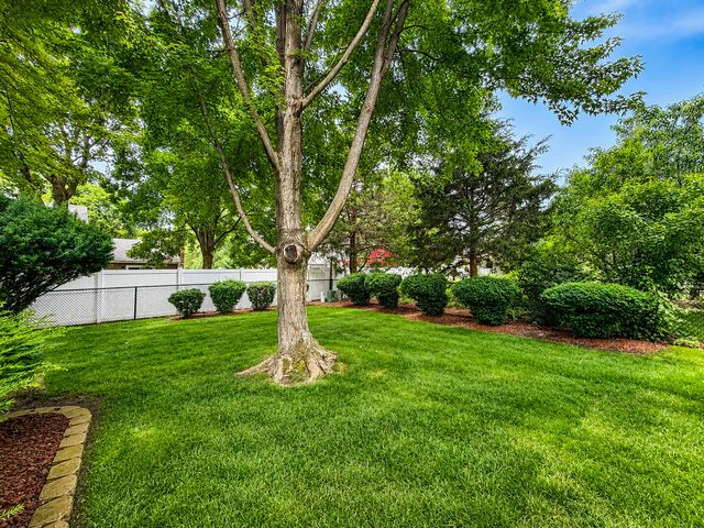209 Briarheath Lane, Naperville, IL 60565