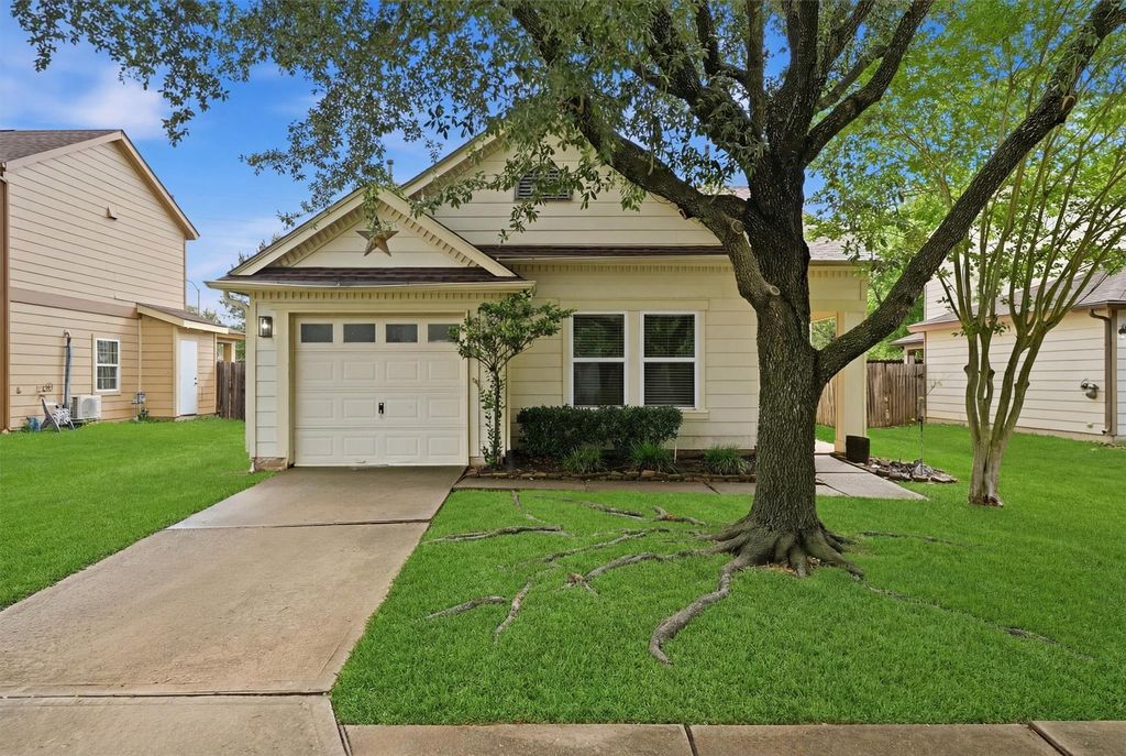 21314 Misty Brook Bend Lane, Spring, TX 77379