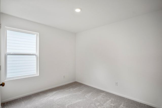 21463 Carosella Drive, New Caney, TX 77357