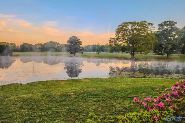 1365 Alabama Highway 205, Albertville, AL 35950