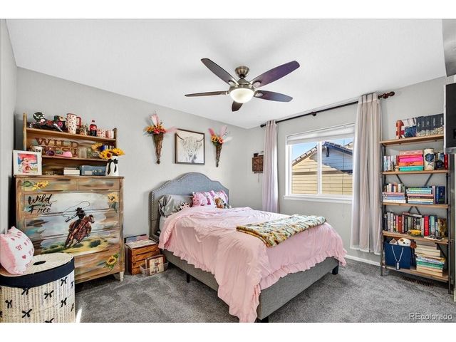 8049 Sabino Ln, Castle Rock, CO 80108