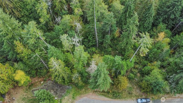 220 E Peebles Court, Shelton, WA 98584