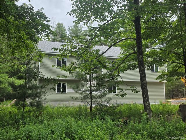 224 Rock Ridge Drive 2, Monticello, NY 12701