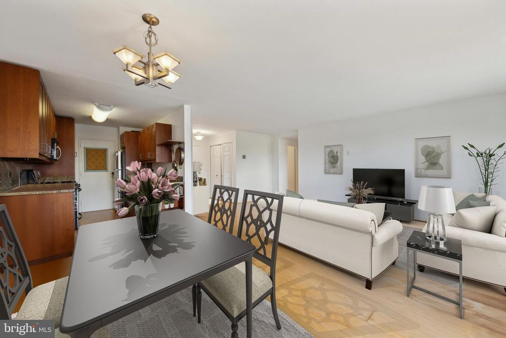 1900 LYTTONSVILLE RD #1017, Silver Spring, MD 20910