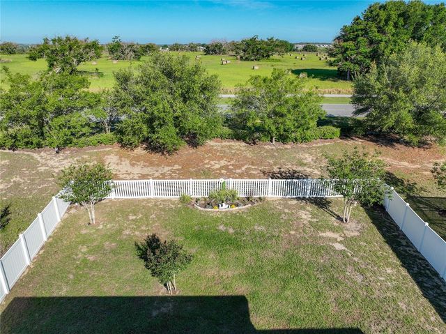 817 LAUREL VIEW WAY, Groveland, FL 34736