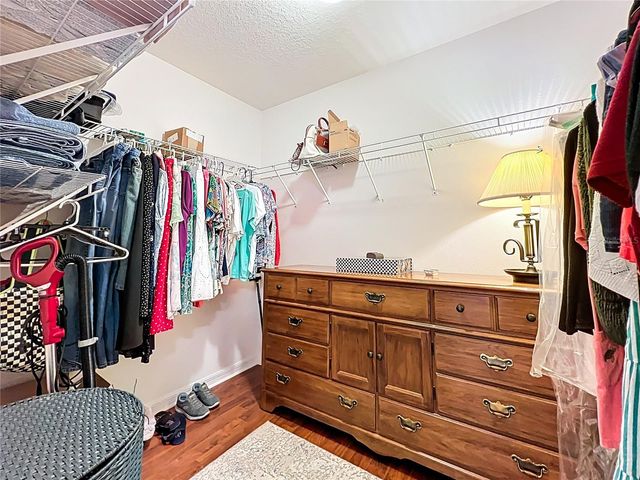 817 LAUREL VIEW WAY, Groveland, FL 34736