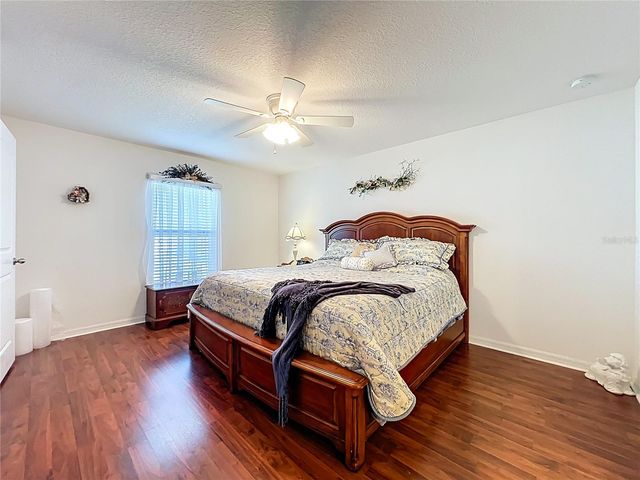 817 LAUREL VIEW WAY, Groveland, FL 34736