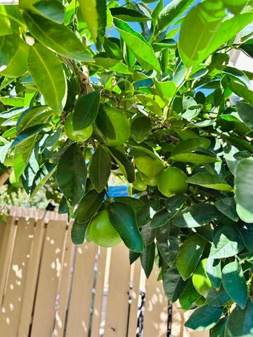 9005 9005 Alcosta Blvd 189, San Ramon, CA 94583