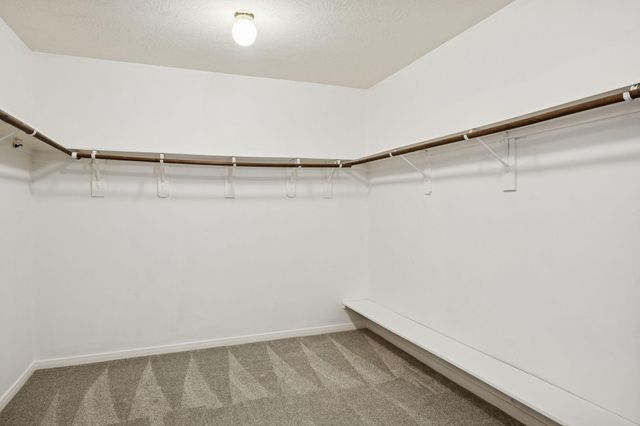 404 Primrose Lane, League City, TX 77573