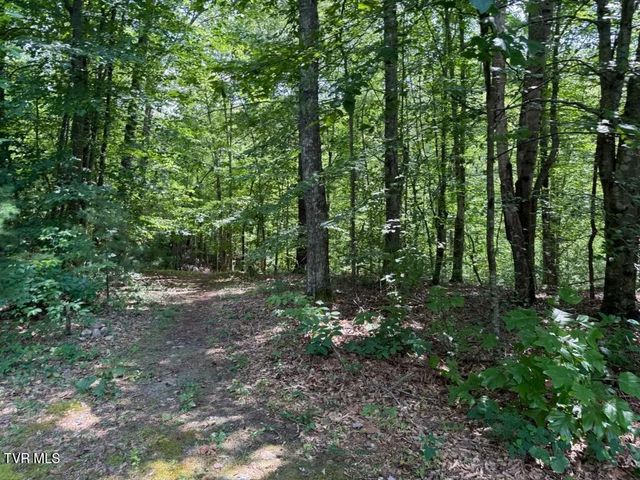 568 Possum Creek Road, Bluff City, TN 37618