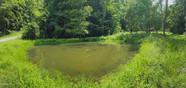 568 Possum Creek Road, Bluff City, TN 37618