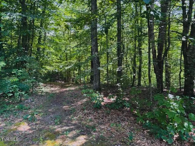 568 Possum Creek Road, Bluff City, TN 37618