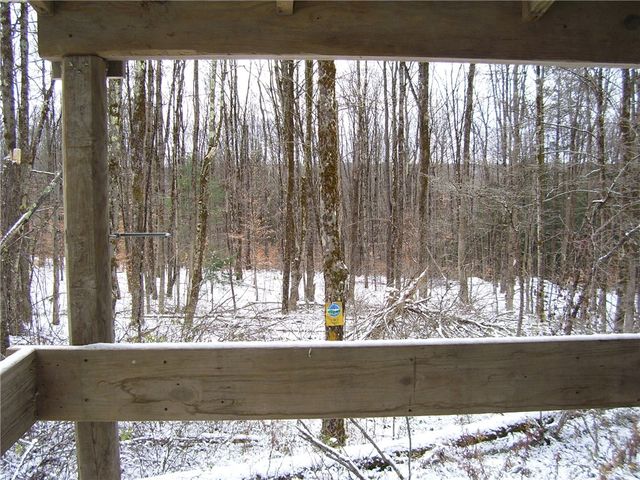 0 Waldon Road, Mc Donough, NY 13801