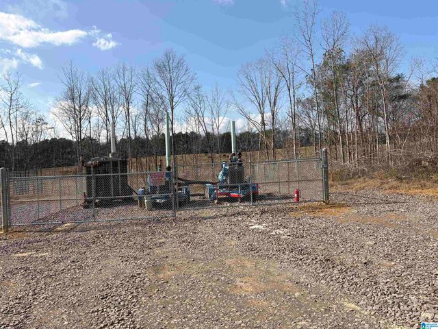 9607 LOCK 17 ROAD, Adger, AL 35006