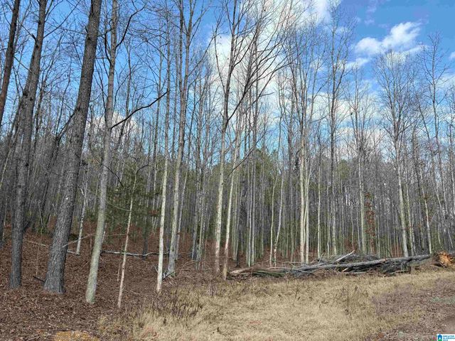 9607 LOCK 17 ROAD, Adger, AL 35006