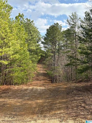 9607 LOCK 17 ROAD, Adger, AL 35006
