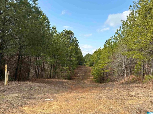 9607 LOCK 17 ROAD, Adger, AL 35006
