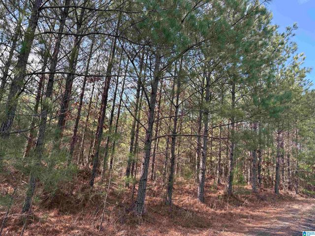9607 LOCK 17 ROAD, Adger, AL 35006