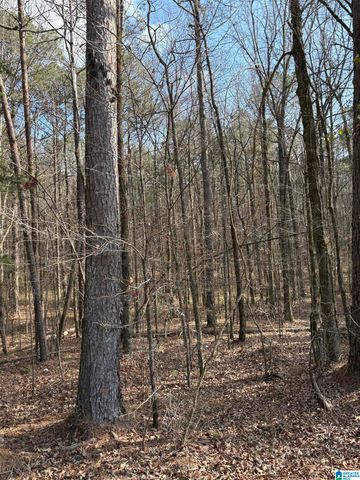 9607 LOCK 17 ROAD, Adger, AL 35006