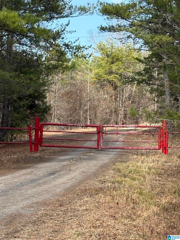 9607 LOCK 17 ROAD, Adger, AL 35006