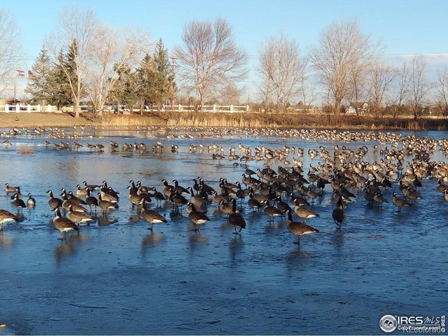 3420 Black Hills, Longmont, CO 80504