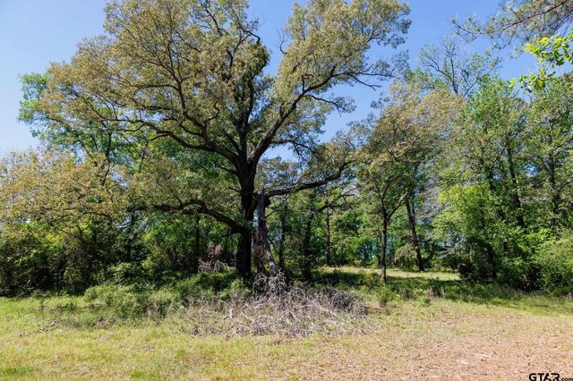 5973 Fm 344, Tyler, TX 75703