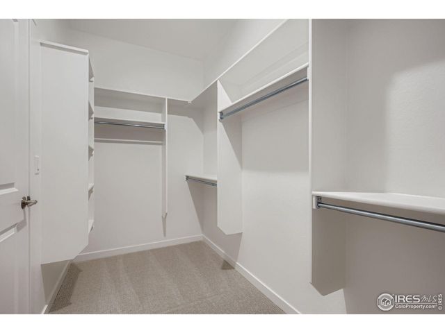 1854 Equinox Dr, Windsor, CO 80550