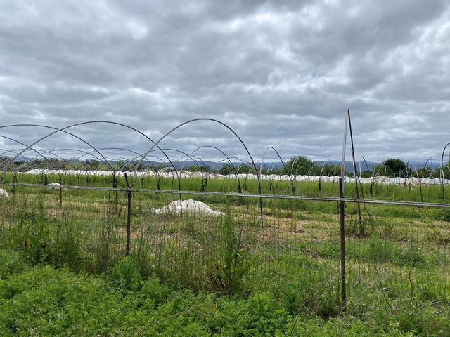 15860 Hill Road A, Morgan Hill, CA 95037