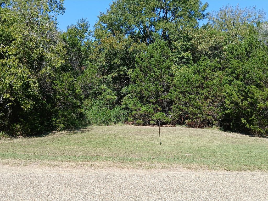 TBD Cedar Elm Drive, Whitney, TX 76692