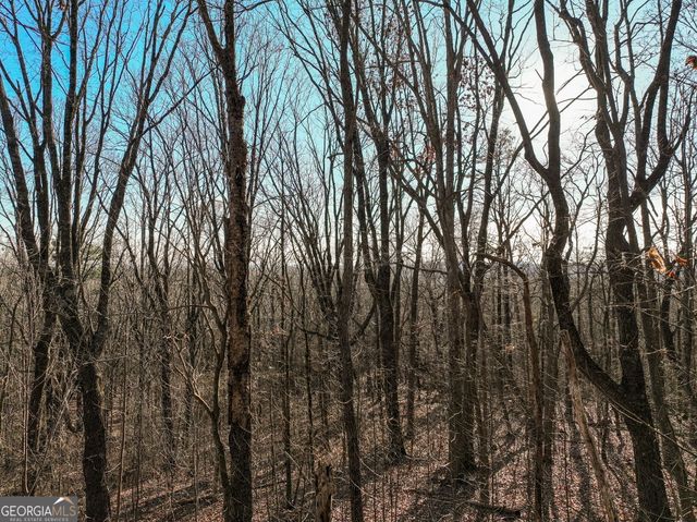 LOT 4 Mount Mincie Road, Murrayville, GA 30564