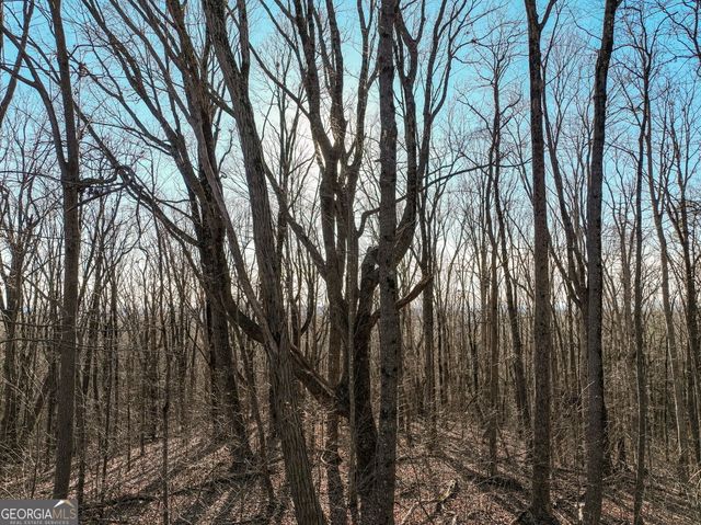LOT 4 Mount Mincie Road, Murrayville, GA 30564