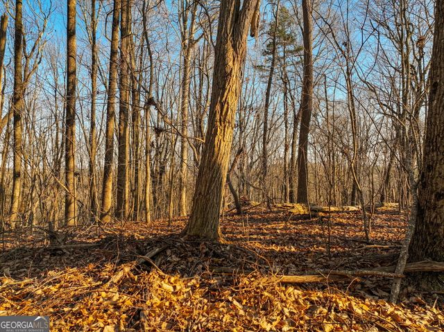 LOT 4 Mount Mincie Road, Murrayville, GA 30564