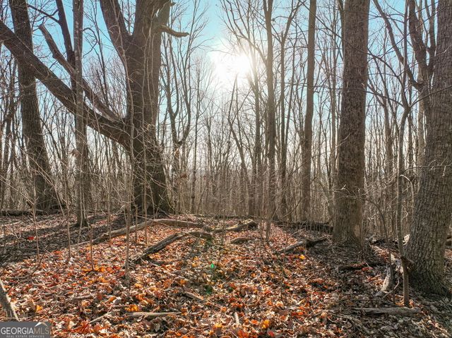 LOT 4 Mount Mincie Road, Murrayville, GA 30564