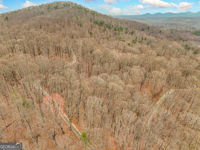 LOT 4 Mount Mincie Road, Murrayville, GA 30564