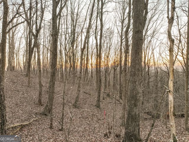 LOT 4 Mount Mincie Road, Murrayville, GA 30564