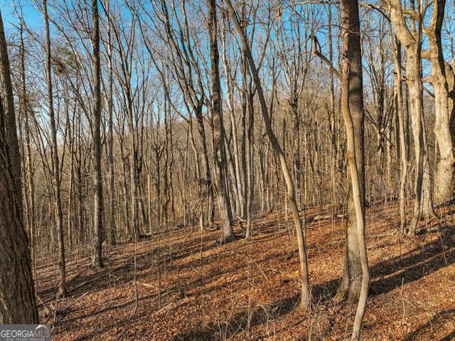 LOT 4 Mount Mincie Road, Murrayville, GA 30564