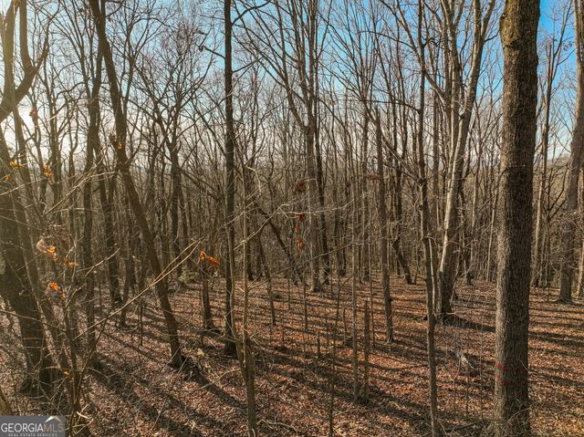 LOT 4 Mount Mincie Road, Murrayville, GA 30564
