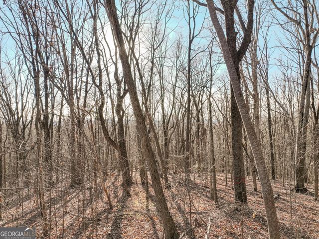 LOT 4 Mount Mincie Road, Murrayville, GA 30564